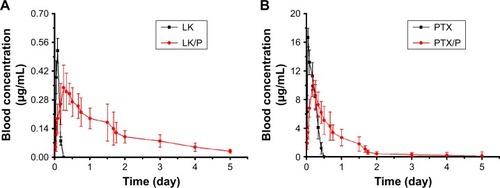 Figure 4 Blood concentration of LK and PTX.Notes: (A) Blood LK concentration; (B) Blood PTX concentration. Data are expressed as the mean ± SD, n=7.Abbreviations: LK, lumbrokinase; P, PEG-b-(PELG-g-(PZLL-r-PLL)); PEG-b-(PELG-g-(PZLL-r-PLL)), poly(ethylene glycol)-b-(poly(ethylenediamine l-glutamate)-g-poly(ε-benzyoxycarbonyl-l-lysine)-r-poly(l-lysine)); PTX, paclitaxel.