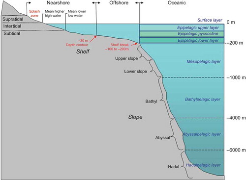 Figure 1. Marine subsystems, oceanic water column layers, and oceanic benthic depth zones. From FGDC-STD-018–2012.