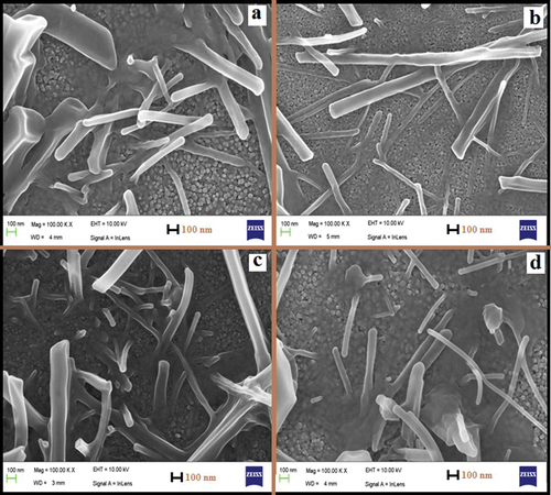 Figure 4. FESEM of ZnO and mg doped ZnO thin films. Nanorods are seen to be growing out of the nanograins in the background. Here a, b, c and d correspond to samples ZM0, ZM1, ZM2 and ZM3 respectively.
