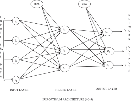 Figure 3. ANN architecture for IRIS data.