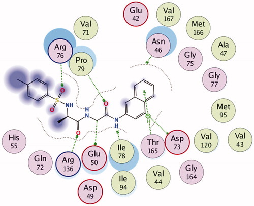 Figure 6. 2D Representation of the chemical interactions of 7n with the amino acid residues of 5MMN.