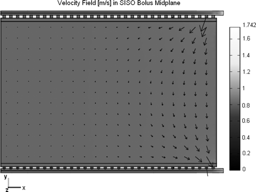Figure 3. Steady state velocity field in the central plane of the SISO bolus model (a) of Figure 1, calculated for 2 L/min flow rate.
