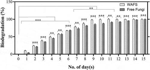 Figure 4. Degradation profile oil refinery waste water by free fungi (FF) and wood assisted fungal system (WAFS) under 50 ppm of rhamnolipid as an optimized concentration