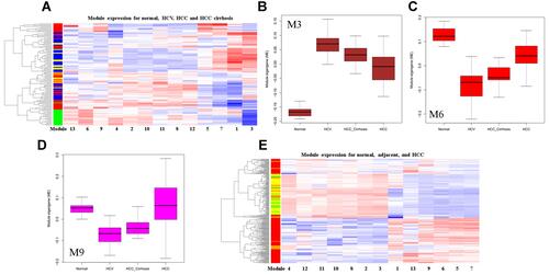 Figure 4 Differentially expressed modules (DEM) in HCC development. (A) Clustering analysis of the thirteen modules in HCC development. In the left sample bar, green, blue, yellow, and red denotes normal, HCV, HCC_cirrhosis, and HCC samples; (B) Box plot showing the M3 expression; (C) Box plot showing the M6 expression; (D) Box plot showing the M9 expression; (E) clustering analysis of the thirteen modules in normal, adjacent and HCC tissues. In the left sample bar, green, yellow and red denotes normal, adjacent, and HCC samples.