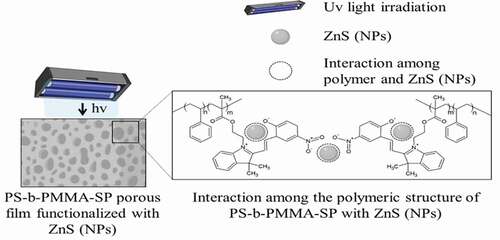 Figure 2. Schematic representation of the polymer films-(SP) functionalized with ZnS NPs