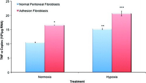 Figure 2.  TNF-α expression in normal peritoneal and adhesion fibroblasts. Adhesion fibroblasts had increased TNF-α expression as compared to normal peritoneal fibroblasts. Exposure to hypoxia increased TNF-α expression in both normal and adhesion fibroblasts. (*, ** p < 0.05 as compared to normal peritoneal fibroblasts, *** p < 0.05 as compared to untreated adhesion fibroblasts and compared to hypoxia treated normal peritoneal fibroblasts).