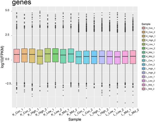 Figure 1 FPKM value for each library. The boxplot for each region corresponds to maximum, upper quartile, median, lower quartile, and minimum FPKM from top to bottom. FPKM, fragments per kilobase of exon model per million mapped reads.