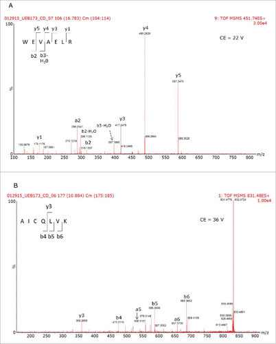 Figure 7. Tandem MS spectra used to confirm the sequences of the peptides used to identify the HCPs present in the different mAb samples.