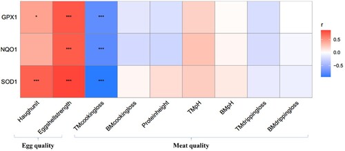 Figure 3. Correlation analysis of antioxidant genes in ovarian tissue with meat quality and egg quality. Abbreviations: GPX1, Glutathione peroxidase 1, NQO1, NADPH: Quinone Oxidoreductase 1, SOD1, Superoxide Dismutase 1. BM: Breast muscle, TM: Thigh muscle. Red: Positive correlation, Blue: Negative correlation. Values are expressed as mean ± standard deviation (n = 6). Data are the mean of six replicates. *P < 0.05, **P < 0.01, ***P < 0.001.