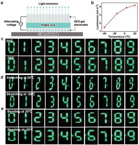 Figure 8. [PG-CaCl2-0.5]-gel applied in stretchable and flexible electroluminescent devices at room and cold environment. (a) Diagram of the as-prepared electroluminescent device. (b) Luminance of the prepared electroluminescent device as a function of temperature, showing that luminance becomes brighter as the temperature increases. (c) Photos of the prepared electroluminescent device in darkroom at 20°C and −20°C. Images of the prepared electroluminescent device in darkroom at 20°C and −20°C with and without (d) stretching and (e) bending. The flexible and stretchable electroluminescent device works in both ambient and cold environments