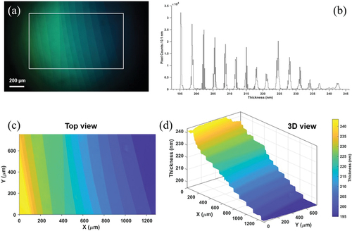 Figure 7. (Colour online) (a) Reflected image of free-standing smectic film at 4.0× magnification. (b) Histogram of thickness for 0.1 nm for nearly one million pixels within the rectangular region in (a). The average layer thickness calculated from this result is 3.17 ± 0.01 nm. (c) Top view of the thickness profile for the selected rectangular region in (a). (d) 3D view of the thickness profile.