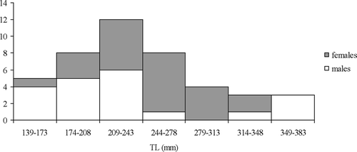 Figure 2. Total length frequency distribution of specimens of Raja radula.