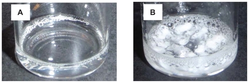 Figure 4 Photographs of a solution of A) PGG-PTX (35% PTX loading) and B) PGA-PTX (32% PTX loading) in saline (0.9% NaCl). The polymer-PTX conjugates were dissolved in 0.9% NaCl at 50 mg/mL after sonication for 1 minute and allowed to stand for 20 minutes.
