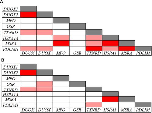 Figure 5 Pearson correlations among redox related-gene expression levels in 39 CVD patients (A) and in 91 controls (B). Correlations with p-values < 0.001 and r values > 0.7 (light red: 0.7 < r < 0.8; dark red: r ≥ 0.8) are presented.
