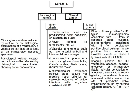 Figure 1 Definite diagnosis of IE according to the modified Duke criteria.