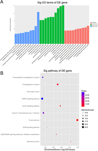 Figure 4 The results of GO and KEGG analysis.