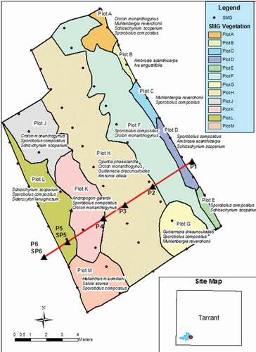 Figure 5. Fall vegetative plots surveyed and labeled alphabetically across the SMG. Transect shown in red with paired moisture probes and equitensiometers. Species in each plot were selected according to cover class dominance and species distinguishing plots from adjacent plots.