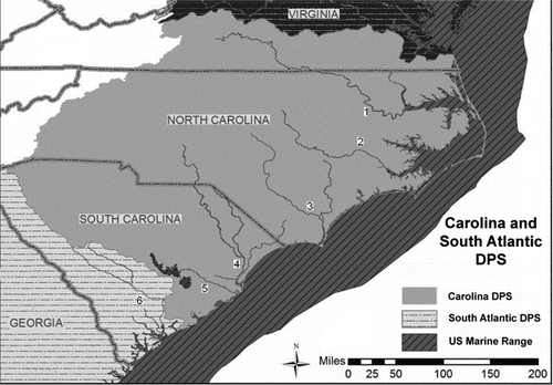 FIGURE 1. Lower portions of six river systems in the Carolina and South Atlantic distinct population segments (DPS) surveyed using side-scan sonar; from north to south they are the Roanoke (1), Neuse (2), and Cape Fear (3) rivers in North Carolina and the Pee Dee/Waccamaw (4), Santee (5), and Edisto (6) rivers in South Carolina.