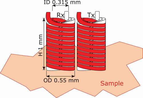 Figure 1. Probe consists of transmitter (Tx) and receiver (Rx) coils placed in close proximity. Each coil is made using 0.025 mm diameter wire wound into 100 turns. The dimensions of the coils are an inner diameter of 0.315 mm, an outer diameter of 0.55 mm and a height of 1 mm.