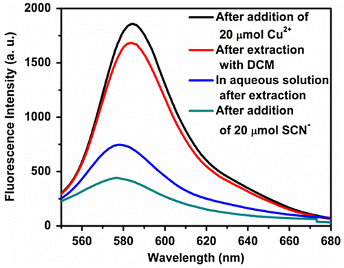 Figure 7. Fluorescence spectrum, of initial and after extraction using DCM, of polymer P3 (20 μmol)-Cu2+ (20 μmol) complex in Tris buffer (pH 7) and also addition of SCN− (20 μmol) to the P3-Cu2+ complex (redissolved in Tris buffer after extraction using DCM) showing quantitative estimation of Cu2+ extraction.