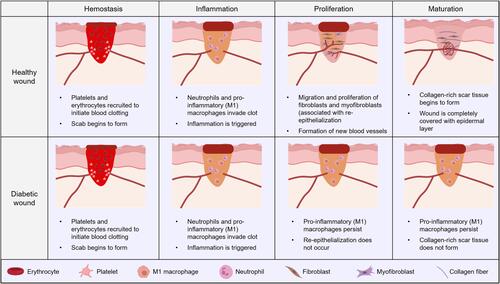 Figure 3 Differences of wound healing between diabetic and non-diabetic patients.