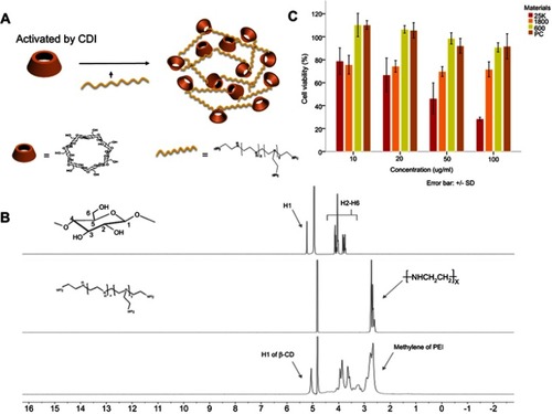 Figure 1 Synthesis, verification and cytotoxicity experiments for PEI-β-CD. (A) Synthetic schematic diagram of PC. (B) 1H NMR spectra of β-CD, PEI (600 Da) and PC. The special peaks are marked with arrows. (C) Cytotoxicity of PEI with different molecular weights and PC at various concentrations. Data are expressed as the mean ± SD (n=3).Abbreviations: PC, polyethyleneimine-β-cyclodextrin; CDI, Carbonyl diimidazole.