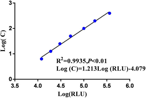 Figure 2 Standard curve for CLEIA. The RLU value is the mean of each diluted level detected twice; C is the diluted level (pg/mL) of CST1 calibrator. The same base logarithms of RLU and C are taken as X and Y axis, respectively, to draw the curve.
