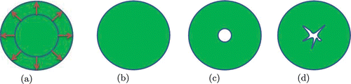 Figure 3. Solutions to the radial expansion problem for an elastic ball in different function spaces. (a) shows the boundary conditions, (b) the minimizer in the class of smooth maps, (c) the minimizer among radial maps in , with a cavity at the origin, (d) a possible minimizer in the space .