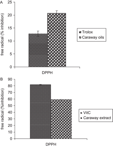 Figure 2.  (A) Free radical-scavenging activity of the caraway seed extracts. The radical scavenging activity of the oil extract was measured spectrophotometrically using the DPPH free radical. Trolox (1 mM) was used as positive control. (B) The radical scavenging activity of the hydroalcoholic extract was measured spectrophotometrically using the DPPH free radical. Vitamin C (5 µg/ml) was used as positive control. Results are mean ± SEM of three analyses carried out on essential oil and hydroalcoholic extract derived from caraway seeds.