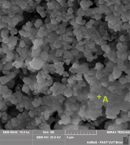 Figure 12. SEM – microstructure of fractured and HF etched sintered body ISQC (A-anorthite).