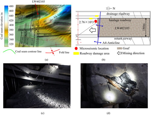 Figure 5. The location of the source of the strong mine earthquake and its onsite appearance (a) Coal mine fold structure form diagram (b) Mining tremors location (c)Haulage roadway scene pictures (d)Drainage roadway scene pictures.