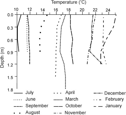 Figure 4 Temperature profile during the study period at S2 (September: black diamond; October: black square; November: white triangle; December: black ellipse; January: black rectangle; February: black circle; March: white ellipse; April: white rectangle; June: white circle; July: white diamond; August: white square).