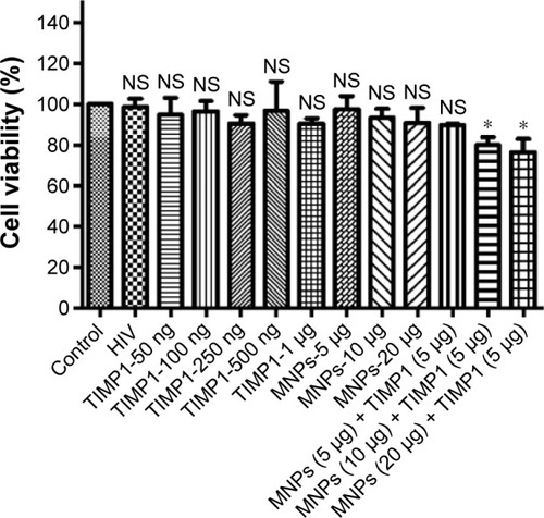 Figure 3 Cytotoxicity studies in SK-N-MC cells for free and TIMP1 + MNPs nanoformulation components.Notes: Figure shows the percentage of cells viable after treatment with different amounts of MNPs (5–20 μg/mL) or free TIMP1 (50 ng–1 μg) or MNPs + TIMP1 nanoformulation. SK-N-MC cells (1×105 cells) were grown in the six-well culture plates, and cells were infected with 20 ng of HIV-1 clade B overnight. Unbound virus was washed, and cells were infected for 7 days. On fifth day of infection, TIMP1/MNPs/MNPs + TIMP1 was added at different amounts into the respective wells and incubated for 48 hours. Seven days postinfection, cell viability was measured using the MTT assay. *P≤0.05.Abbreviations: HIV, human immunodeficiency virus; TIMP1, tissue inhibitor of metalloproteinase-1; NF, nanoformulation; MNPs, magnetic nanoparticles; NS, not significant.