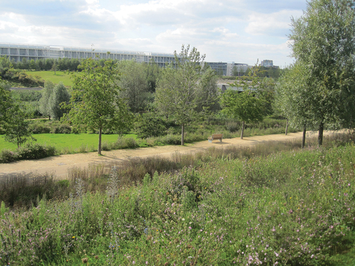 Figure 3. The North Park, Queen Elizabeth Olympic Park, London, summer 2014 (year of opening).