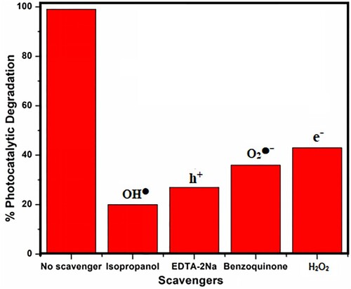 Figure 9. Scavenger test to identify the reactive oxidation species responsible for the photodegradation.