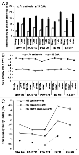 Figure 2. Evaluation of malondialdehyde (MDA) content, superoxide dismutase (SOD) activity and heat susceptibility index (s) (HIS) in wheat genotypes viz., DBW-140, RAJ-3765, PBW-574, K-0-307 and HS-240 under timely and late sown conditions. The extent of lipid peroxidation was evaluated by calculating the concentration of thiobarbituric acid reactive substances as malondialdehyde equivalent using the extinction coefficient (155 mM−1 cm−1) (A). Superoxide dismutase activity was determined by measuring its ability to inhibit the photochemical reduction of nitro-blue tetrazolium (NBT) in the presence of riboflavin in light (B). The heat susceptibility index (s) for yield characters per genotype was calculated (C). Vertical lines on top of bars indicate standard error of means.