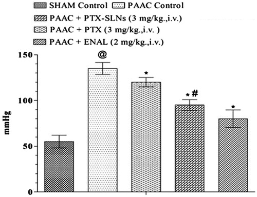 Figure 4. Effect of pharmacological interventions on LVEDP. @p < 0.05 versus Sham control, *p < 0.05 versus PAAC control, #p < 0.05 versus PAAC + PTX (3 mg kg−1). PAAC, partial abdominal aortic constriction; LVEDP, left ventricular end diastolic pressure; PTX, pentoxifylline, ENAL, enalapril; PTX + SLNs, nanoparticles of PTX.