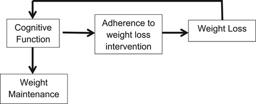 Figure 1. Theoretical model of the association between obesity and cognitive function.