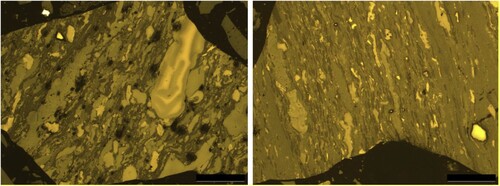 Figure 2. The display of maceral groups consisting of 79.4% vitrinite, 13.1% inertness, and 7.5% liptinite by volume.