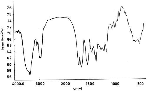 Figure 1. IR spectrum of poly(DOBA).