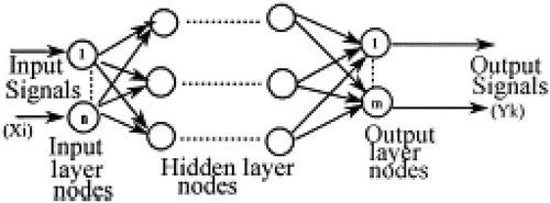 FIGURE 5 Schematic of multilayer perceptron neural network.[Citation31]