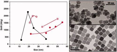 Figure 6. SAR values for nanoflowers (solid, hollow and crossed circles correspond to particles synthesised at different experimental conditions) and nanocubes (solid squares), under similar field conditions. TEM micrographs adapted with permission from Guardia et al. [Citation41] and Hugounenq et al. [Citation55].
