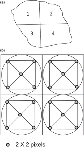 Figure 3. (a) Four quadrants of an agroclimatic zone. (b) Sampling points of NDVI profile within one quadrant of an agroclimatic zone.