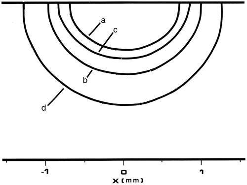 Figure 10. Plot of damage process predictions from 50 s of Tm:YAG laser heating analogous to Figure 8. All four contours represent 63% damage (Ω = 1) for each damage process depicted, and the designations used in Figure 8 have been preserved. The innermost contour is collagen birefringence loss (a), the third contour is muscle damage and disruption (b), the second contour is PC3 cell death from the two-state model (c), and the outermost contour is loss of clonogenicity in S-phase CHO cells according to the Mackey model, (d). Note that the relative positions of contours (b) and (c) have reversed between the two figures.