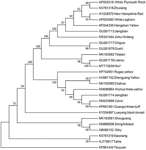 Figure 1. Neighbor-joining tree based on the complete mitochondrial DNA sequence of 26 chicken breeds. GenBank accession numbers are given before the species name.