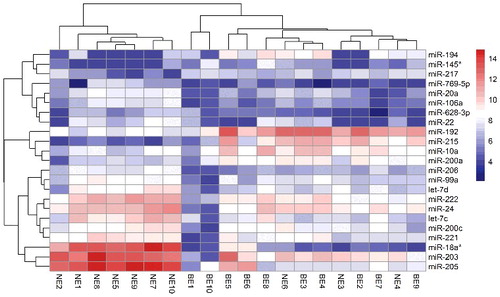 Figure 1. Bi-cluster analysis of differentially expressed miRNAs in Barrett's esophagus tissue Each row represents one of the dysregulated miRNA, and each column represents a tissue sample from Barrett's esophagus and normal esophagus mucosa. Column “BE” represents Barrett's esophagus tissue, while column “NE” represents tissue from normal esophagus. The heat map was constructed based on miRNAs expression value in each sample.