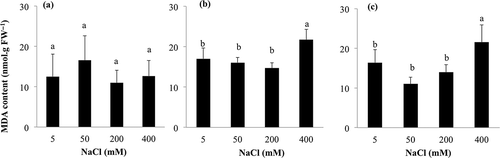 Figure 2 Effect of sodium chloride (NaCl) treatment on leaf malondialdehyde (MDA) content of (a) Suaeda salsa (L.) Pall., (b) Kochia scoparia (L.) Schrad. and (c) Swiss chard (Beta vulgaris (L.) var. cicla). Means of four replicates are shown with standard deviation. Differences are significant at P < 0.05; Student-Newman-Keuls test. FW, fresh weight.