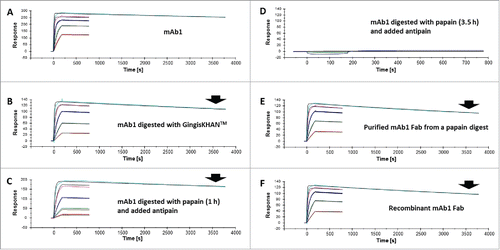 Figure 4. Affinity determinations by surface plasmon resonance of mAb1 and Fabs thereof. Sensorgrams of (A) mAb1, (B) mAb1 digested with GingisKHAN™, (C) mAb1 digested with papain (1 h, subsequently inhibited with antipain), (D) mAb1 digested with papain (3.5 h, subsequently inhibited with antipain), (E) a purified Fab following an in-solution papain digest of mAb1, and (F) a recombinant Fab binding to captured vascular endothelial growth factor A (VEGF-A121-His). The analyte was injected in a dilution series ranking from 2.2 to 1800 nM (colored sensorgrams). The black curves are the fitting curves using models from BIAevaluate. The arrows indicate the faster dissociation of the Fabs (B, C, E, and F) relative to the IgG1 (A).