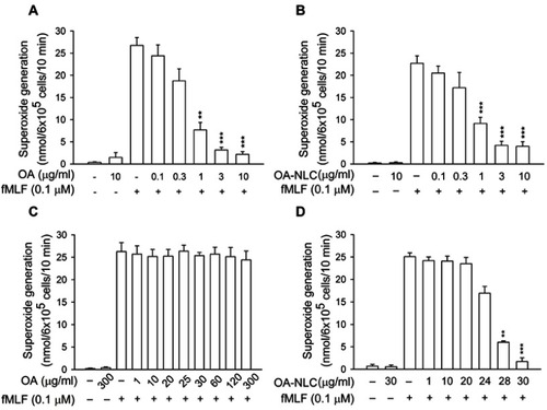 Figure 3 Effects of OA and OA-NLC on superoxide generation in activated neutrophils.Notes: Human neutrophils (6×105 cells/mL) were pre-incubated with OA or OA-NLC and then activated with cytochalasin B (1 μg/mL) and fMLF (0.1 μM) in the absence or presence of 0.1% BSA. (A, B) In the absence of BSA, superoxide release was reduced by both OA and OA-NLC. (C, D) In the presence of BSA, only OA-NLC inhibited superoxide release. Superoxide generation was detected spectrophotometrically using ferricytochrome c. Data are expressed as the mean ± standard error of the mean, n=6, **P<0.01, ***P<0.001, as compared to the control assay.Abbreviations: OA, oleic acid; OA-NLC, oleic acid within nanostructured lipid carriers; BSA, bovine serum albumin.