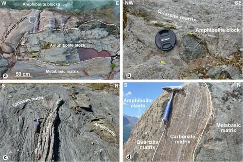 Figure 6. Outcropping features of Bardonney Unit. (a) Amphibolite blocks embedded in carbonate and metabasic matrix. (b) Centimetric amphibolite block embedded in quartzite matrix. (c) Polygenic complex characterized by clasts derived from ophiolitic rocks and fragments of sedimentary cover, embedded in a carbonate matrix. (d) Sedimentary alternance of carbonate, quartzite and metabasic matrix layers.